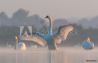 Bild von Abdzie porankiem